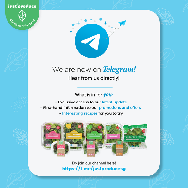 We're now on Telegram!