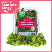 Load image into Gallery viewer, Just Salad: Tangy Sorrel
