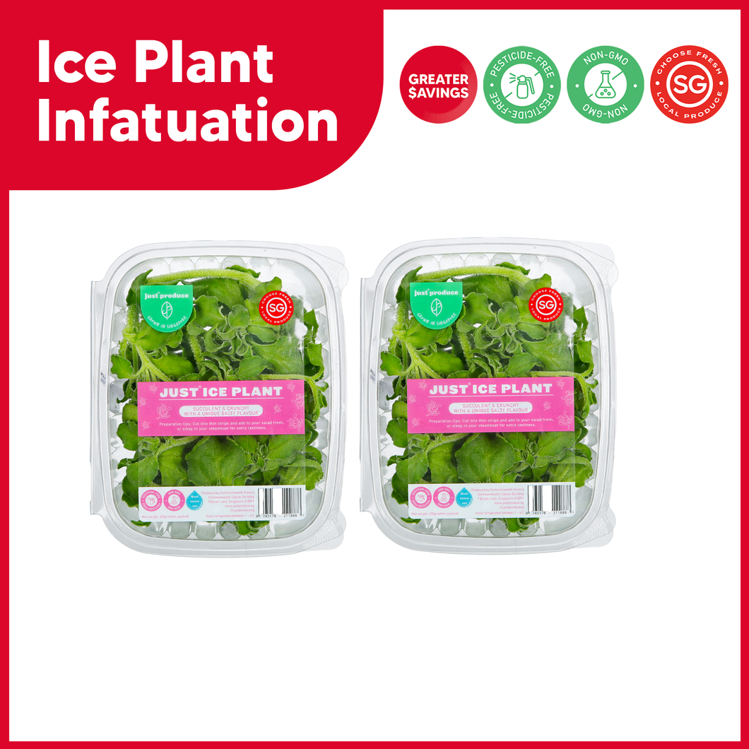 Ice Plant Infatuation Bundle