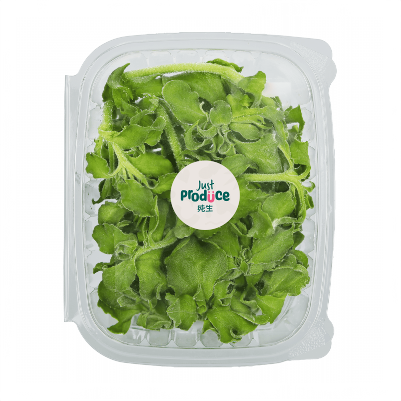 Ice Plants - 200g