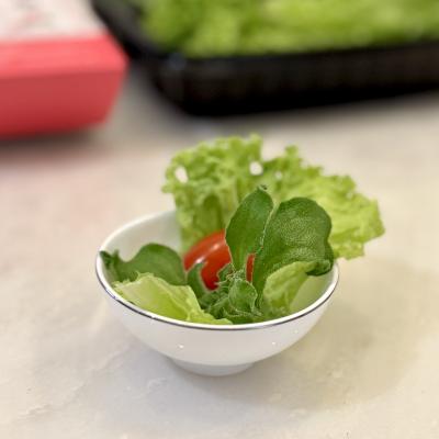 Just Veggie Wrap - Green Coral
