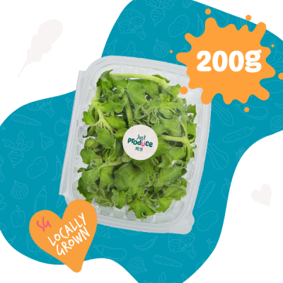 Ice Plants - 200g