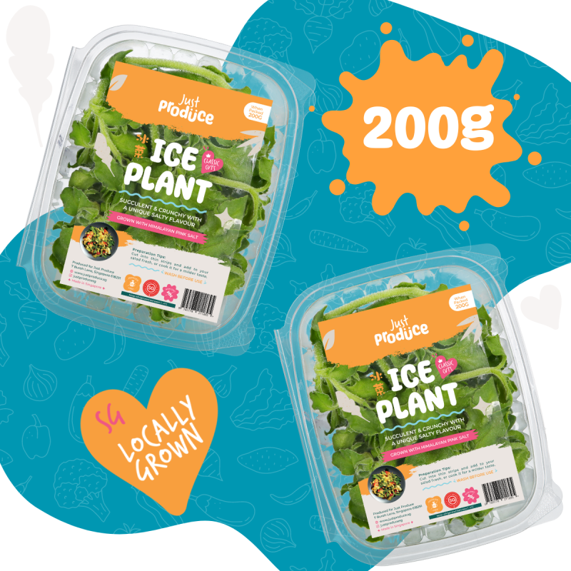 Ice Plants - 200g