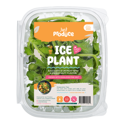 Ice Plants - 200g